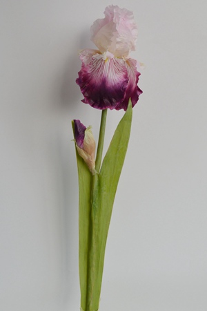 161830 PK_.jpg